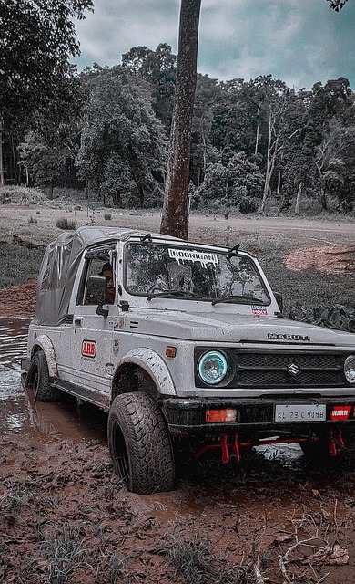 更是对球队 更是对球队