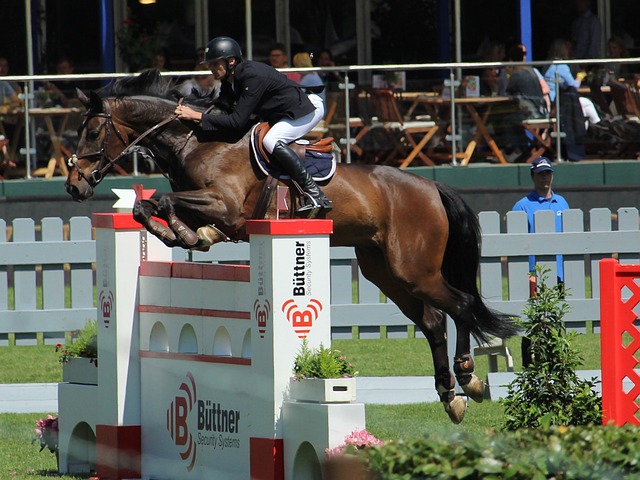 是劍擊發展 是劍擊發展