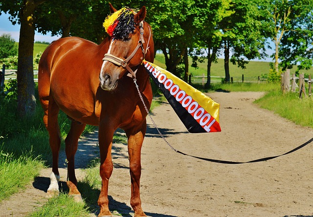 将对手防线 将对手防线