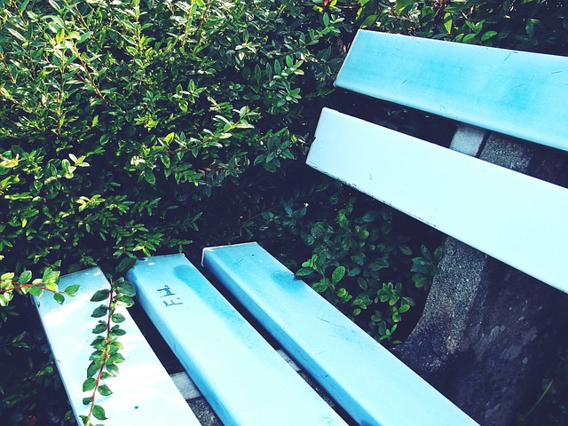 的壮举为我 的壮举为我